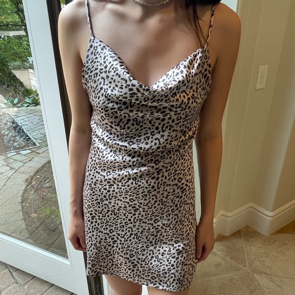 Princess Polly Dress